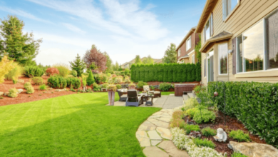 Top Landscaping Trends for 2024