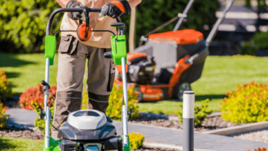 The Benefits of Professional Landscaping Services