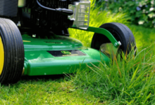 The Best Lawn Care Tips for Spring