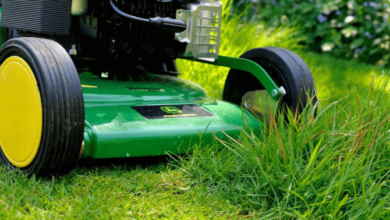 The Best Lawn Care Tips for Spring