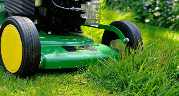 The Best Lawn Care Tips for Spring