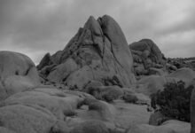 landscape drawing information overview
