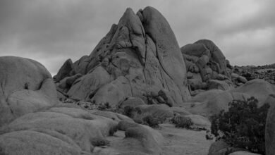 landscape drawing information overview