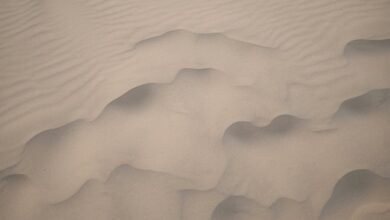 landscape drawings interpretation guide