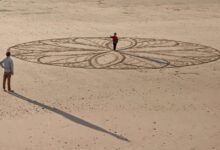 mandalas in flor exploration