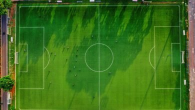 identifier activity overview listed