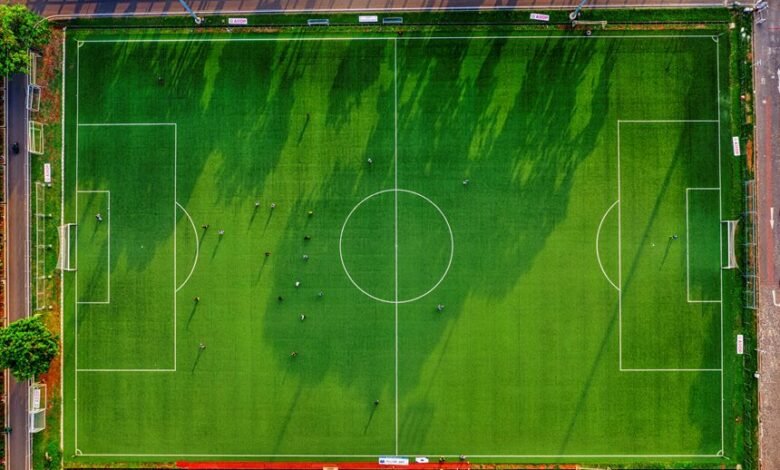 identifier activity overview listed