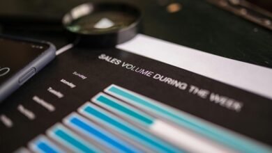 progress report on cases