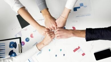 progress snapshot for projects